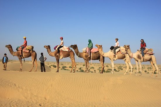 You are currently viewing Enjoy a Memorable Camel Safari in the Thar Desert, Rajasthan