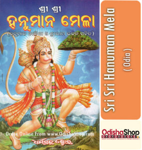 Read more about the article Hanuman Chalisa and Other Prayers in Sri Sri Hanuman Mela